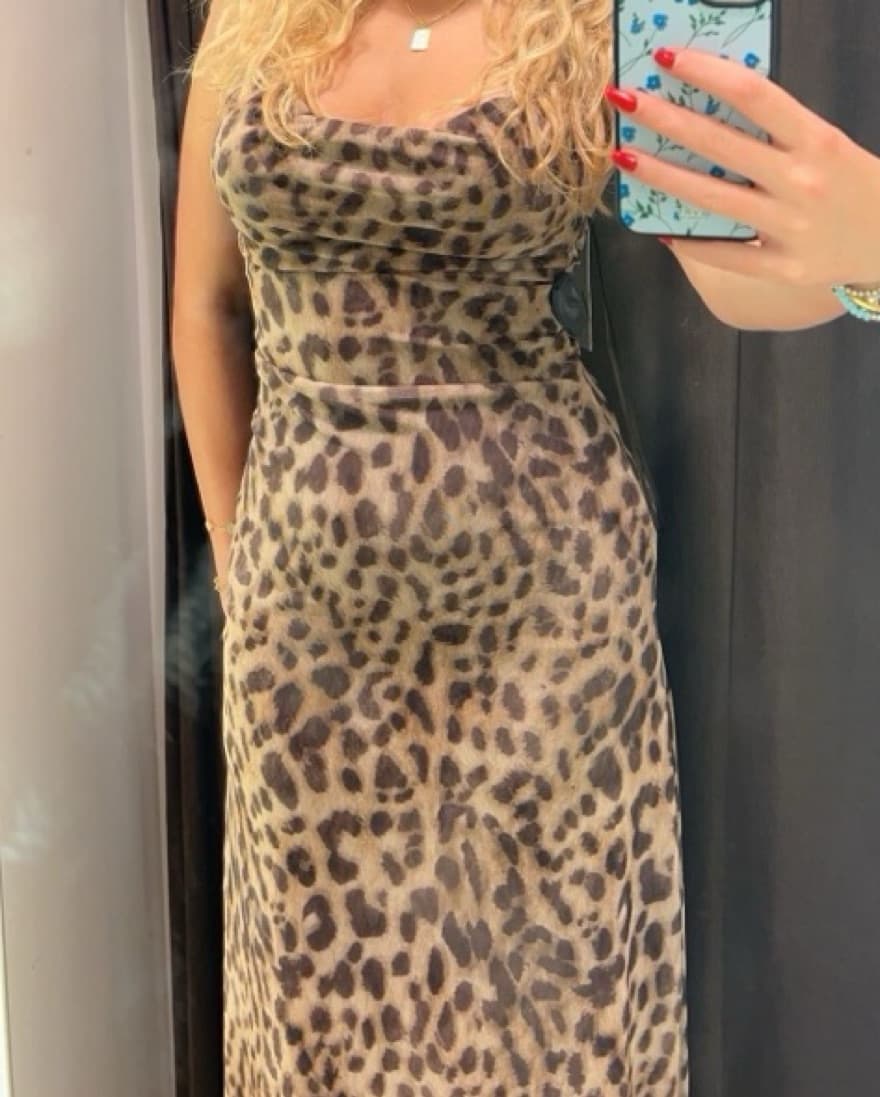 Zara Leopard Print Tulle Dress - Image 1