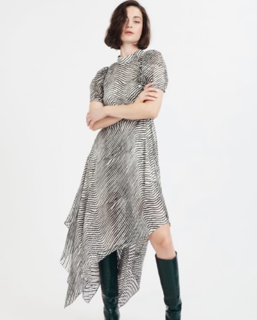 Tanya Taylor Zebra Print Hem Dress  - Image 1