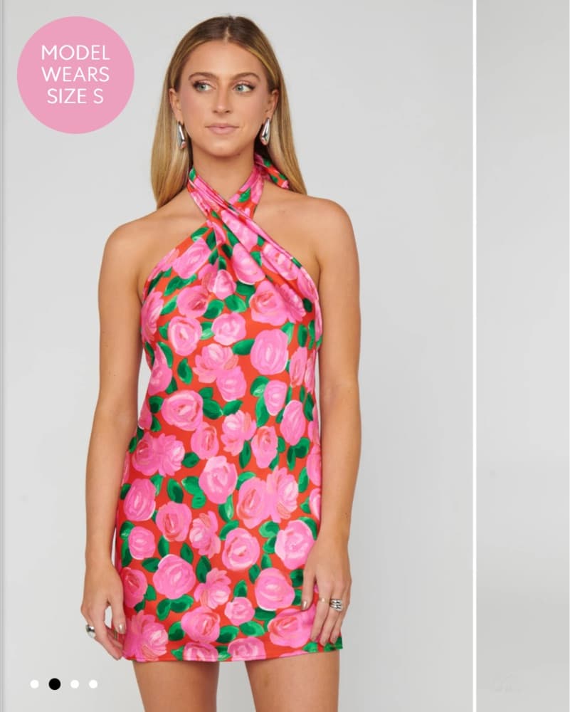Show Me Your Mumu Jasmine Dress  - Image 1