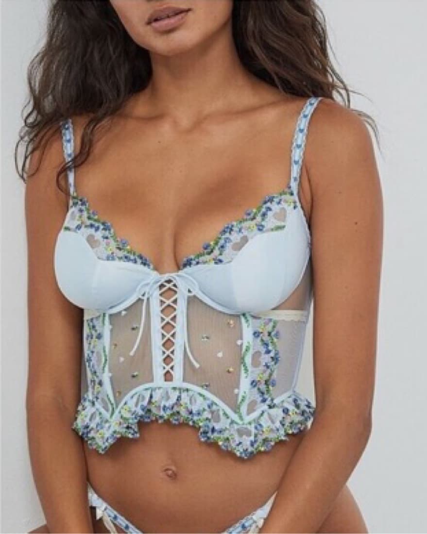 For Love & Lemons Blue Midsummer Bustier - Image 1