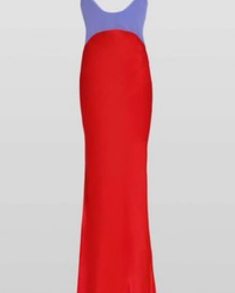 Rat & Boa Color Block Dress - Image 2