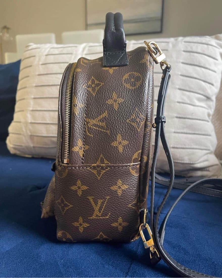 Louis Vuitton Palm Springs Mini Bag - Image 4
