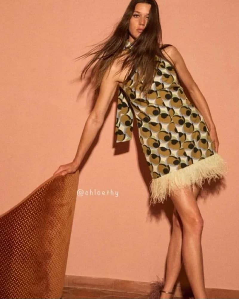 Chic Martini-esc Zara Dress - Image 4