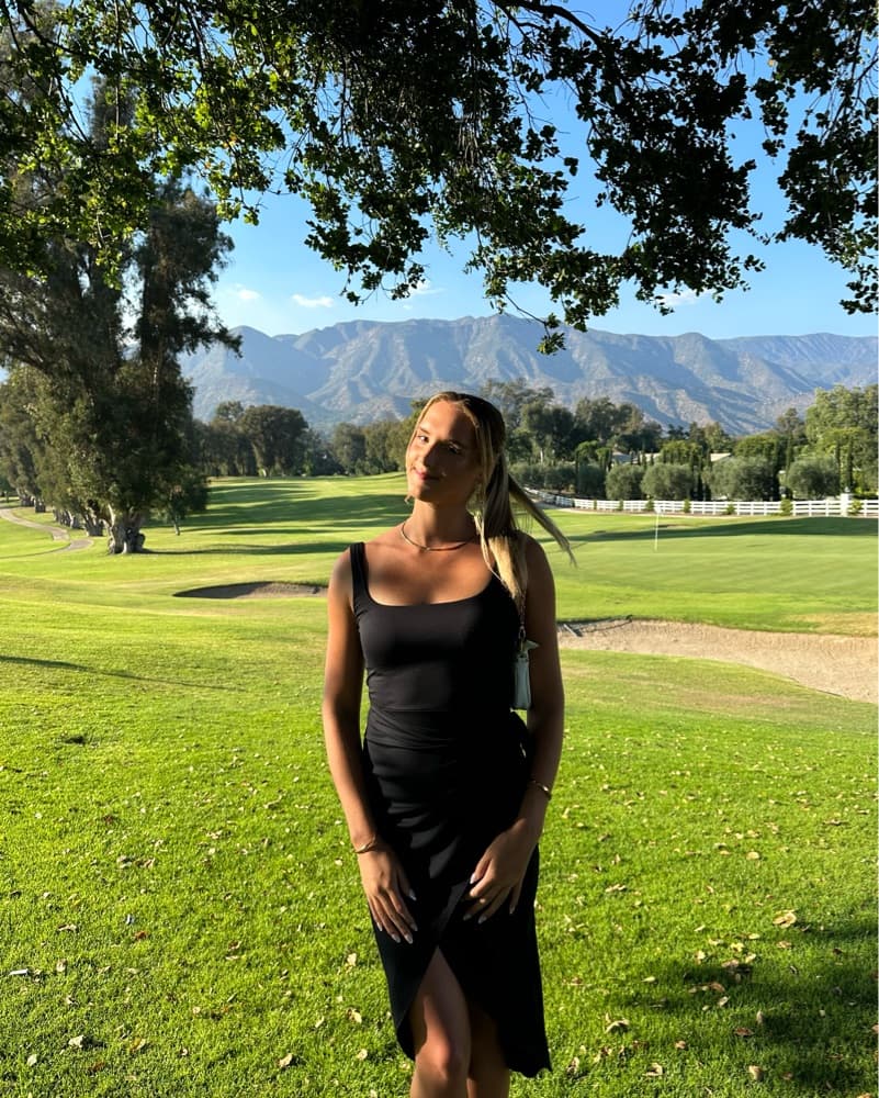 Aritzia Saturn Midi Dress - Image 2