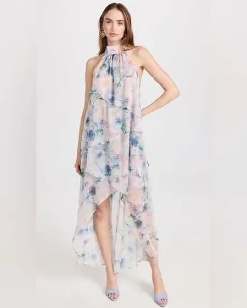 MISA Floral Chiffon Maxi Dress - Image 1