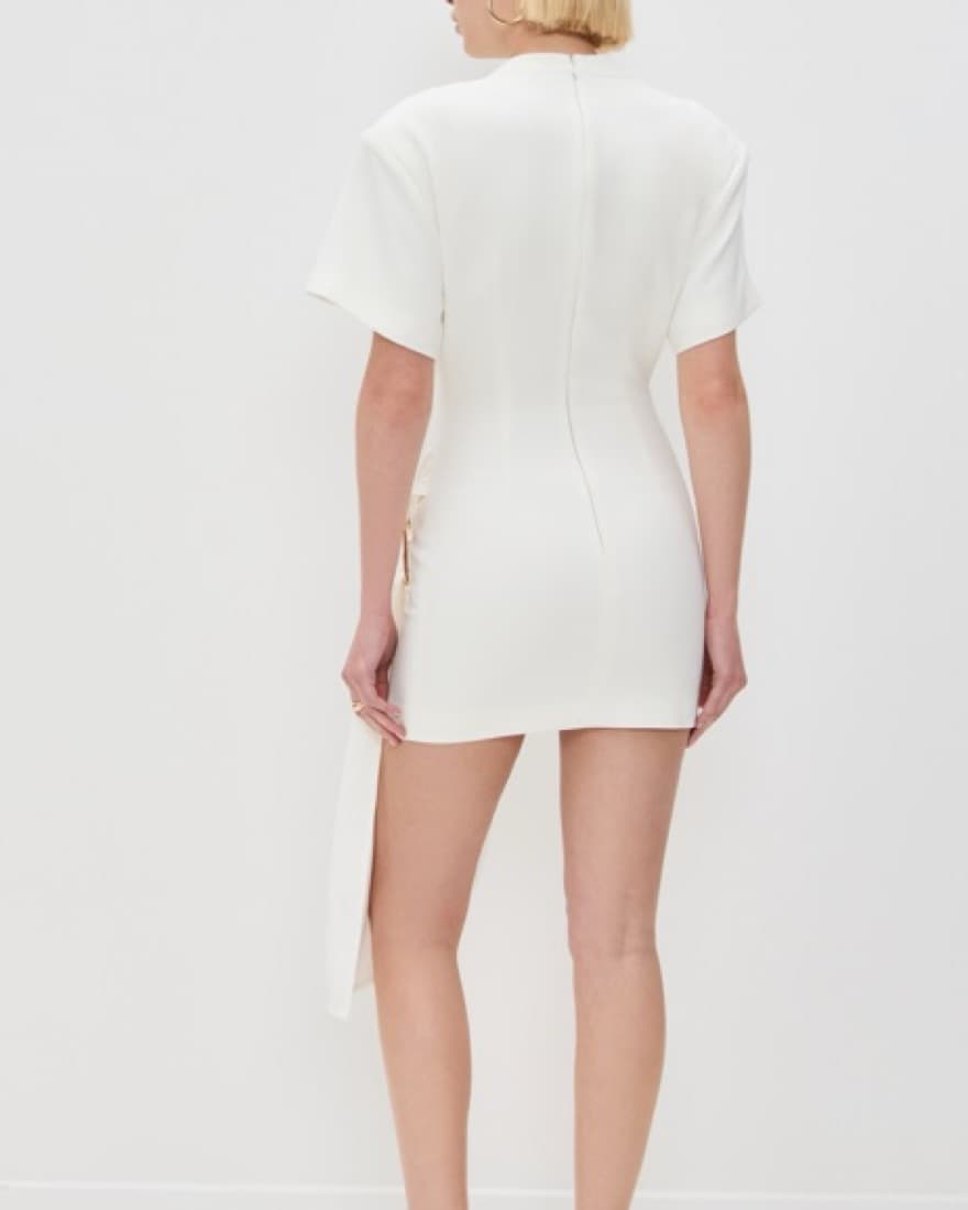 Lioness Dress - Image 2