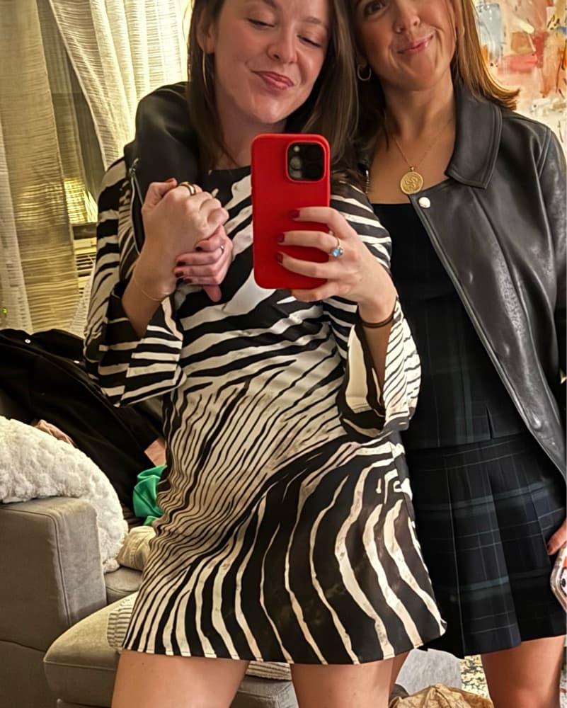MANGO ZEBRA MINI DRESS - Image 4