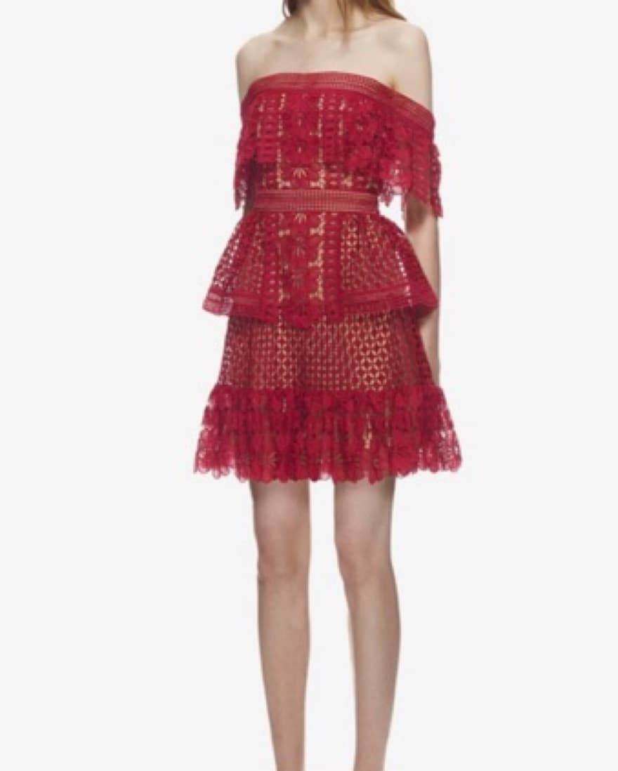 Self Portrait Mini Red Lace Dress  - Image 2