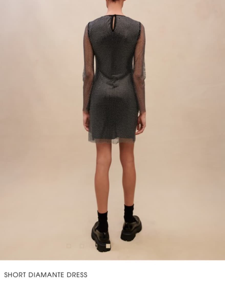 Maje Crystalized Dress - Image 4