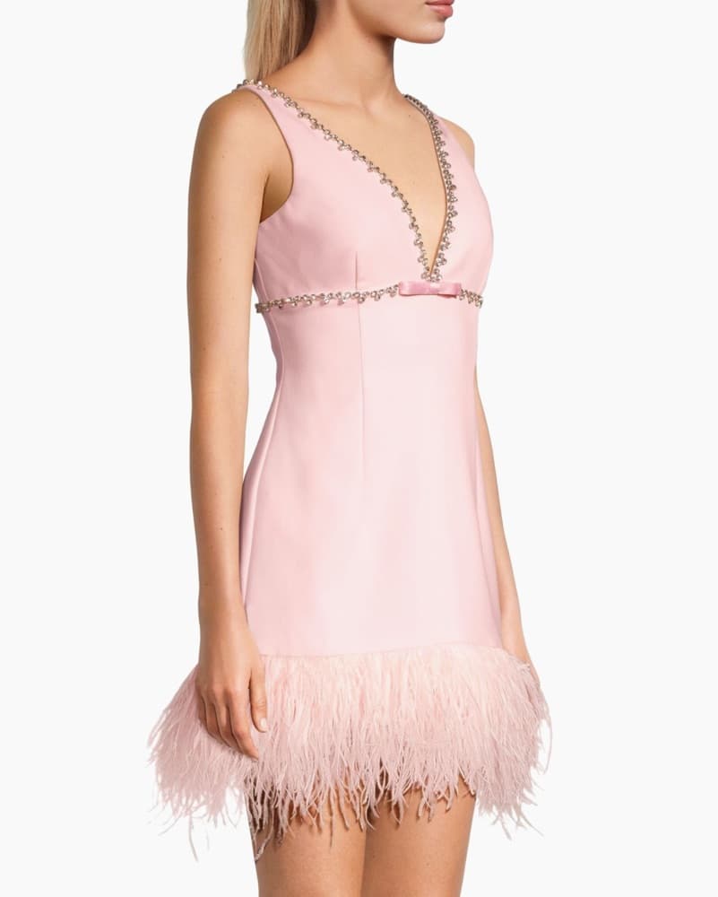 Crystal & Feather Embellished Mini Dress - Image 4