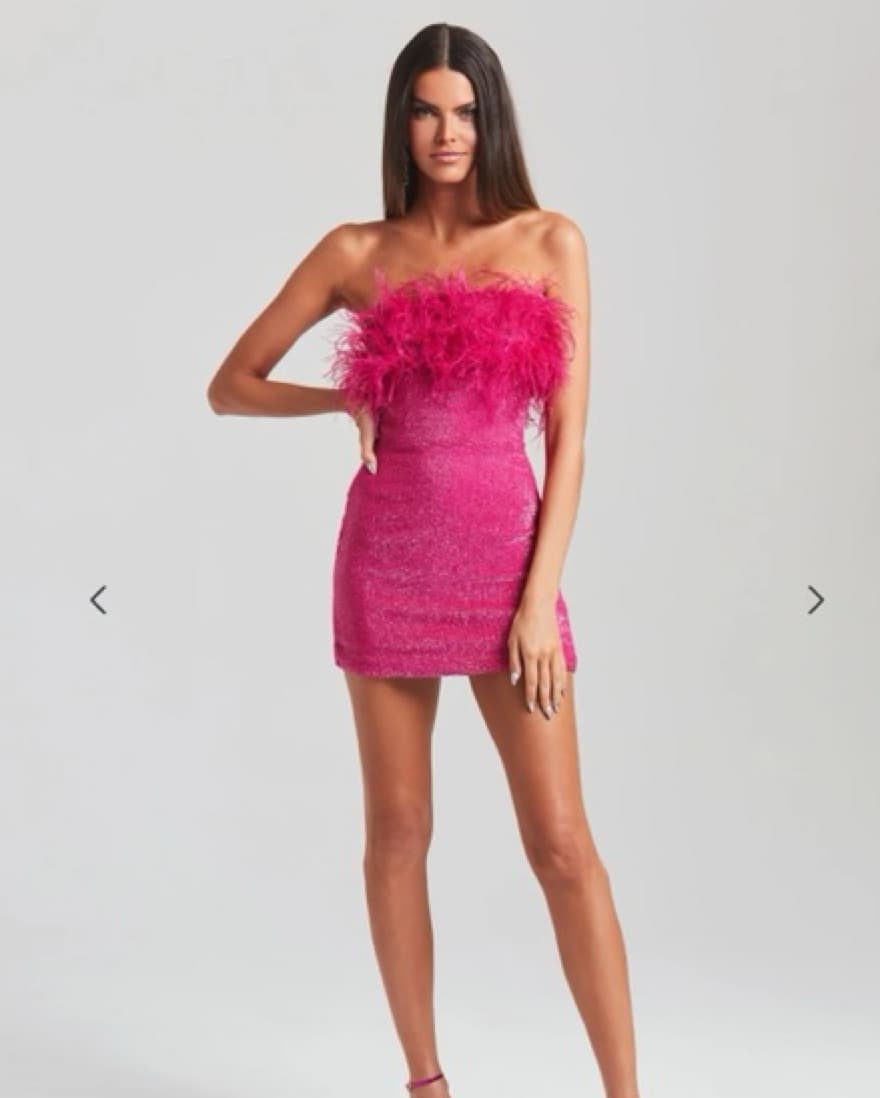 Retrofete Torin Sequin Feather Dress - Image 1