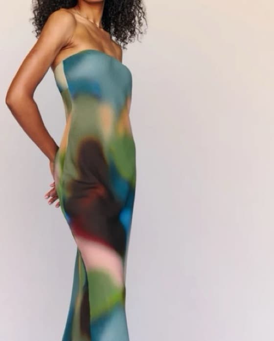 Reformation Joana Dress Blur - Image 1