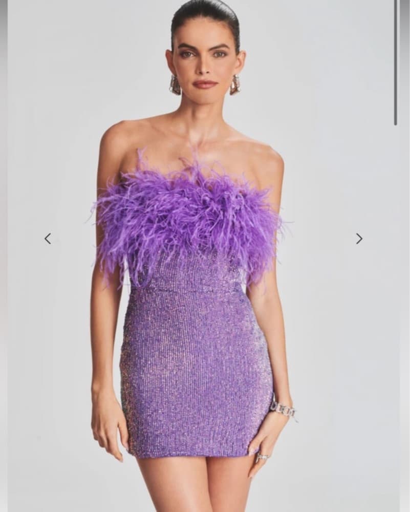 Retrofete Torin Sequin Feather Dress  - Image 1