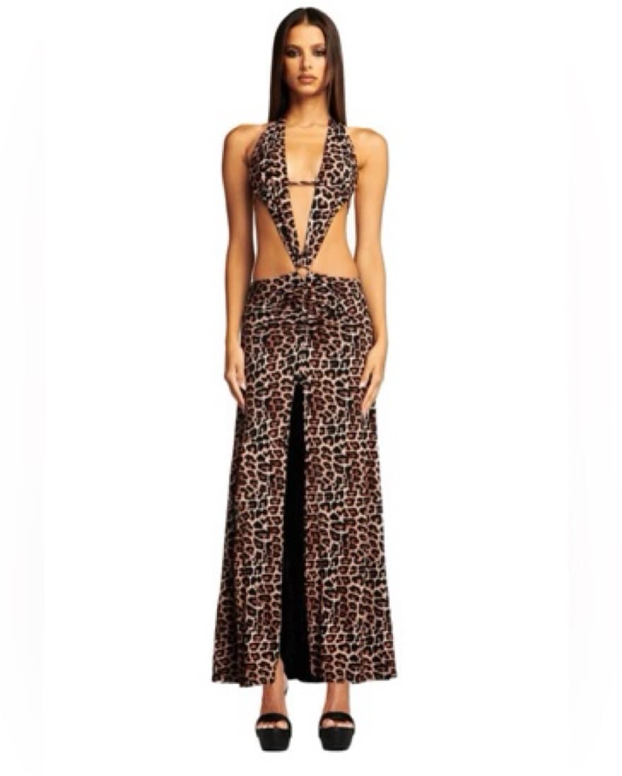 Sleek Leopard-Print Maxi Dress - Image 1