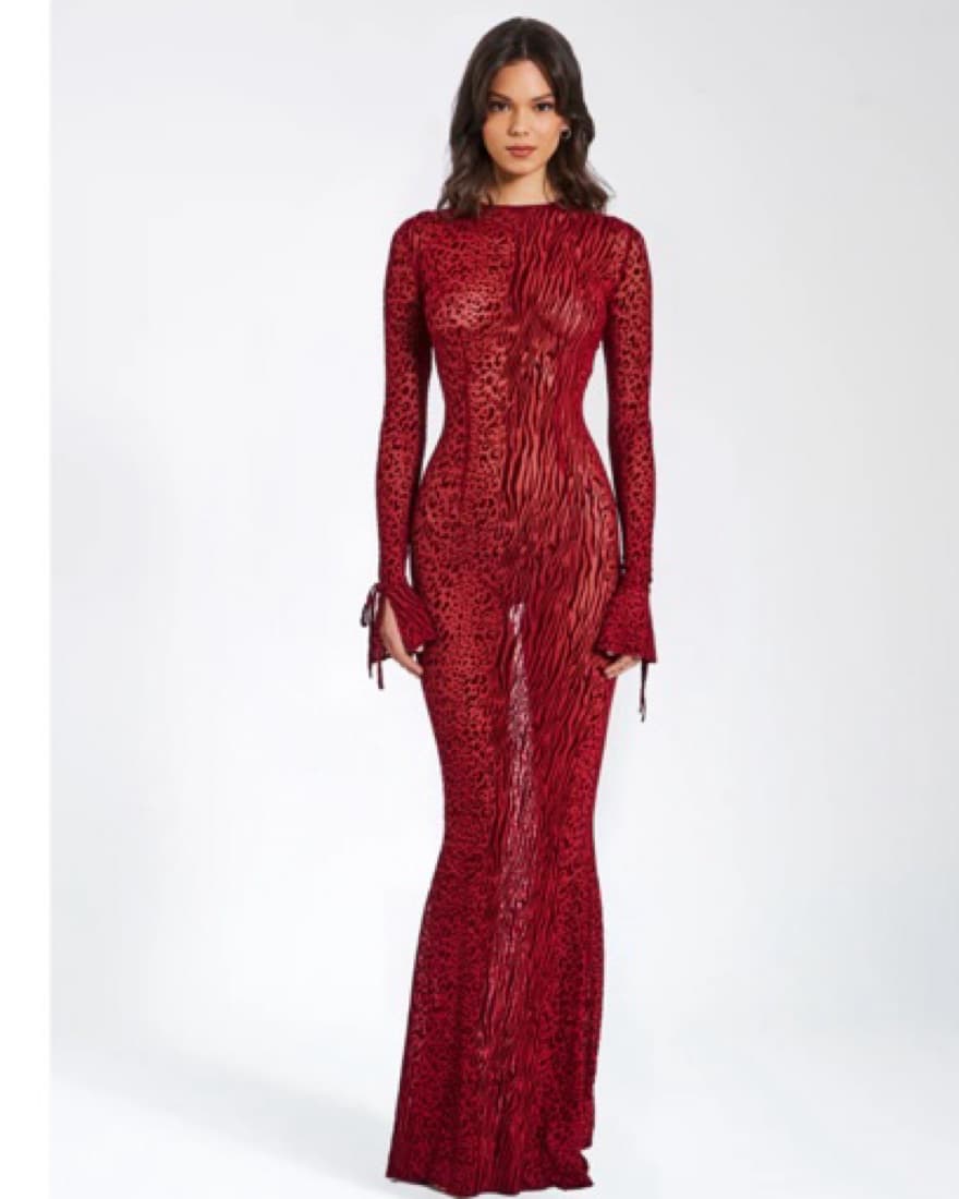 Burgundy Mesh Backless Maxi Dress - Image 1
