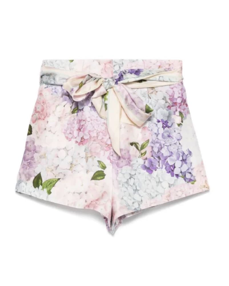Zimmerman Shorts - Image 1