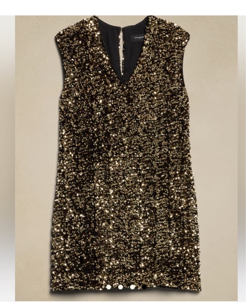 Viral Banana Republic Mini Sequins Dress - Image 4