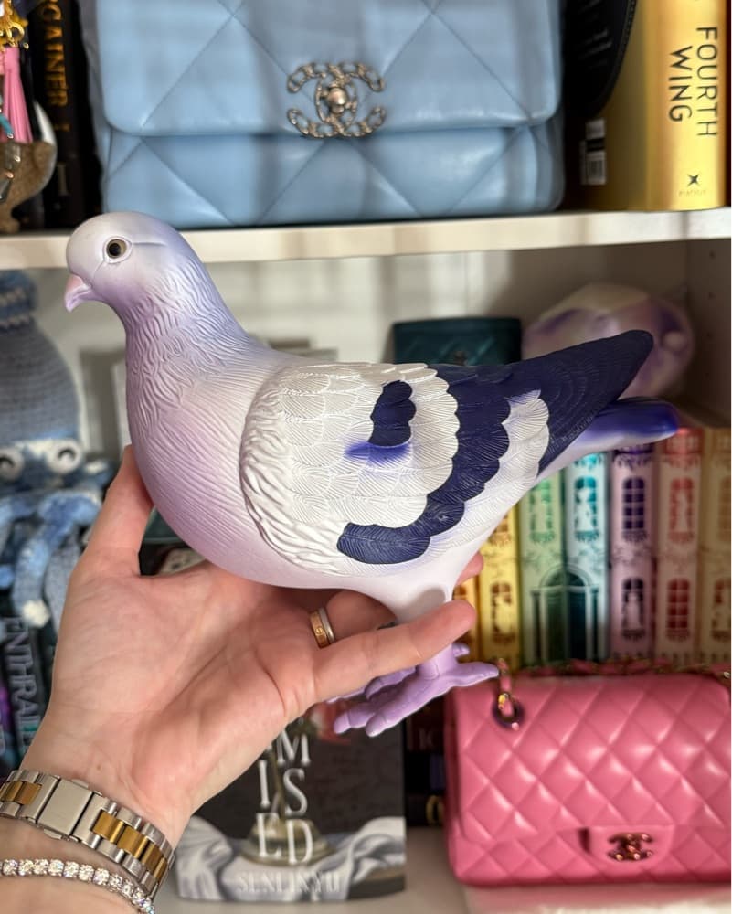Pigeon Clutch  - Image 4