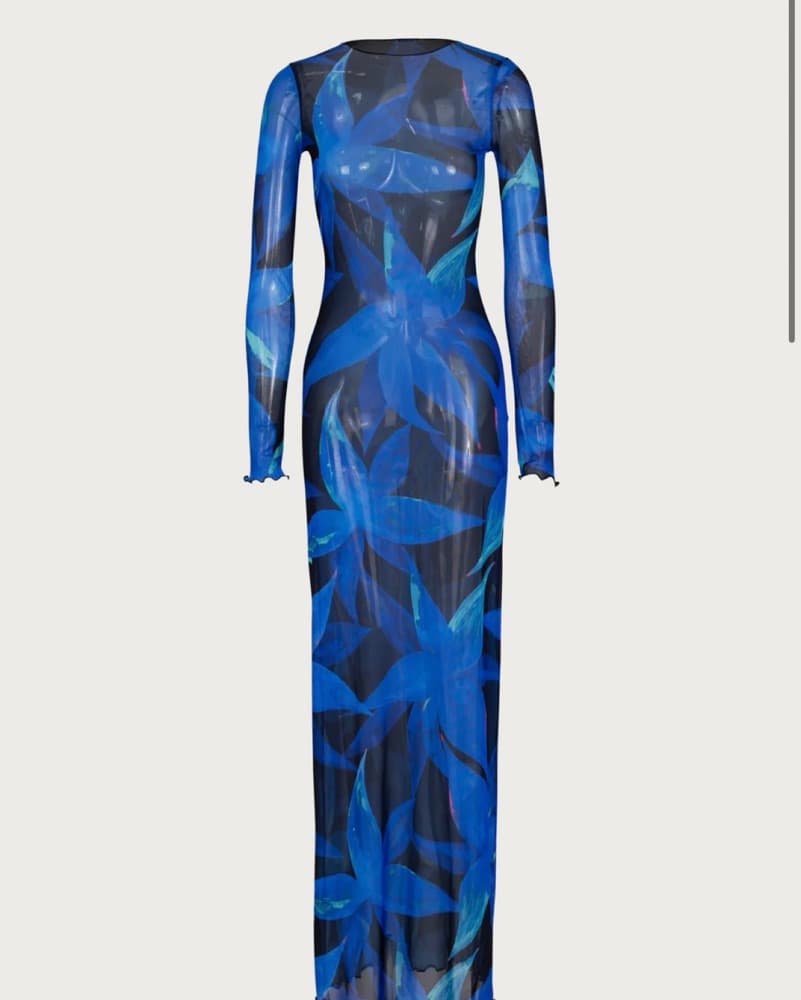 SAME mesh Maxi Dress - Image 1