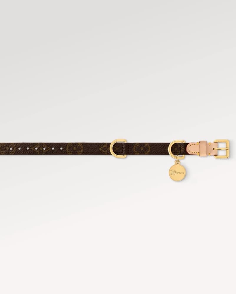 Louis vuitton Pet Collar  - Image 2