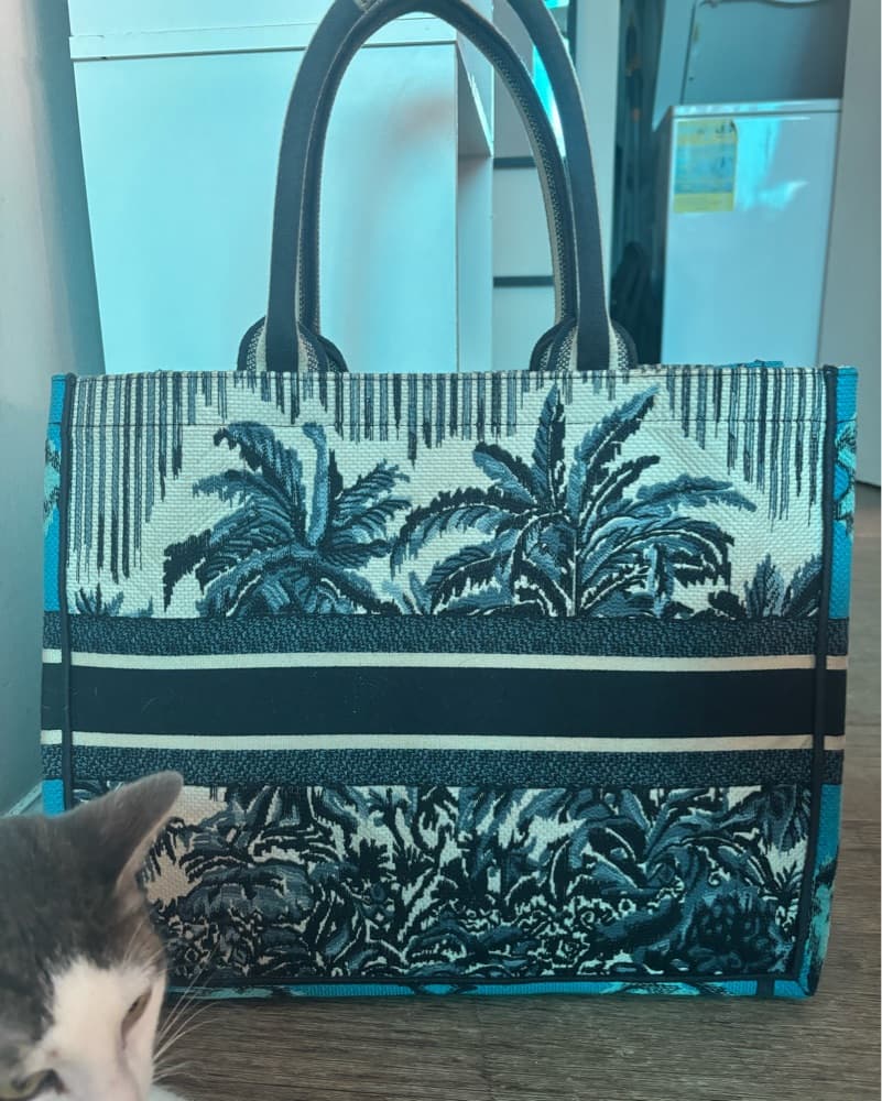 Christian Dior Large Blue Book Tote - Image 5