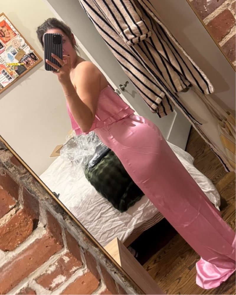 NWT Retrofete Pink Dress - Image 5
