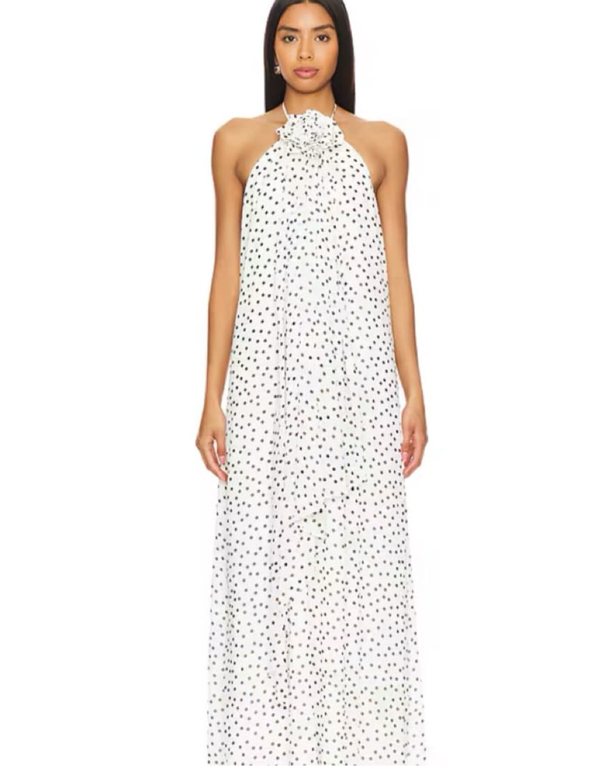 Marjorelle Polka Dots Maxi Dress - Image 1