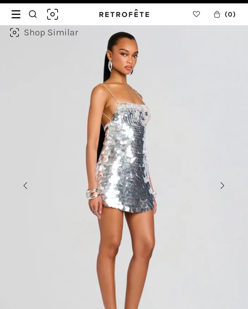 Retrofete Silver Sequin Dress  - Image 5