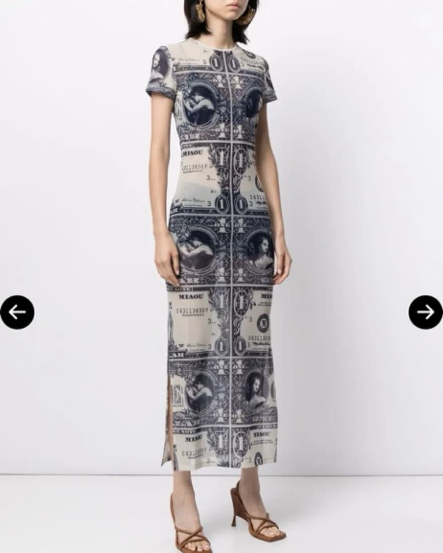 MIAOU MONEY PRINT DRESS - Image 4