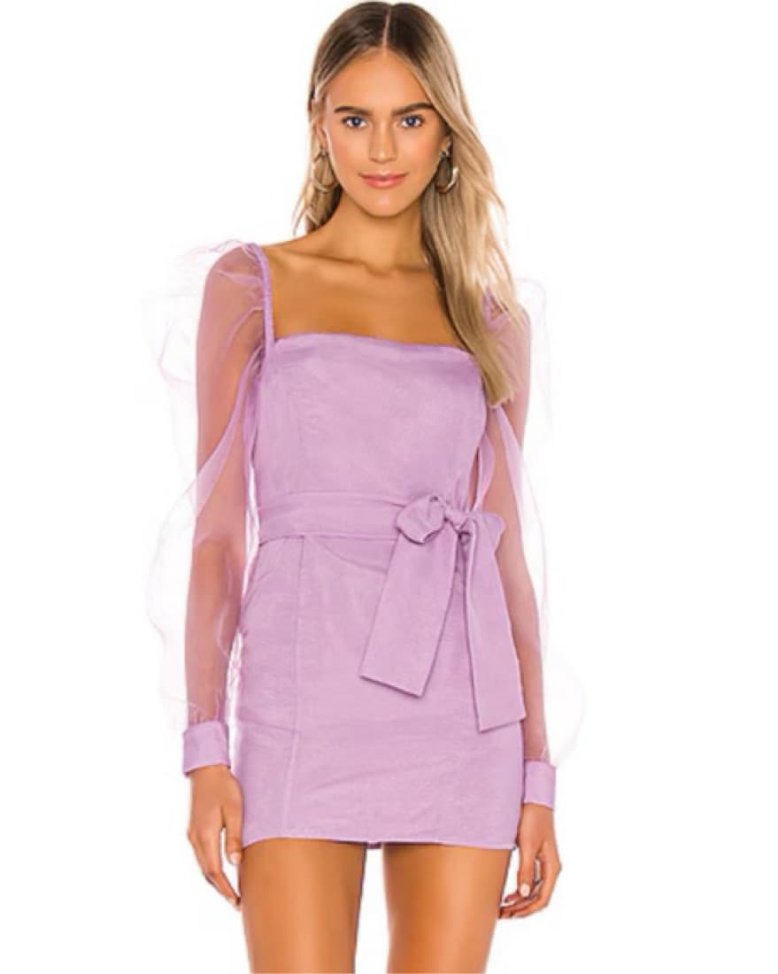 Revolve Lovers And Friends Mini Dress - Image 1