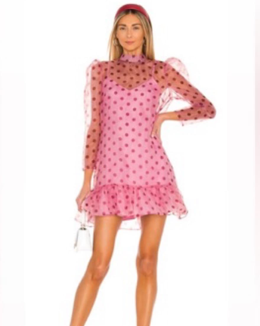 Revolve Polka Dot Mini Dress - Image 2