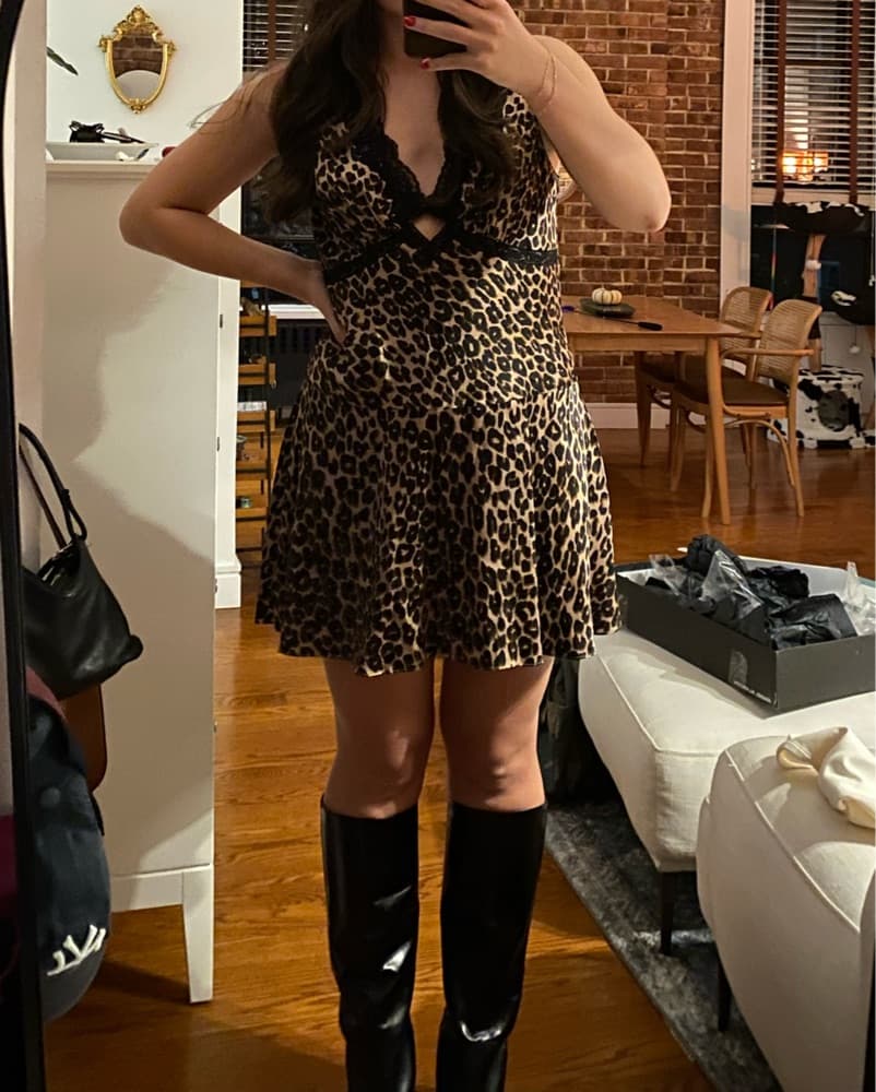 Reformation Silk Cheetah Dress - Image 1