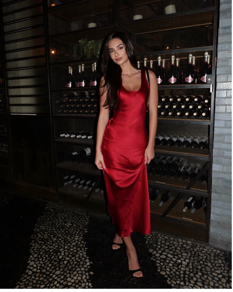 Red Dress Anine Bing - Image 1