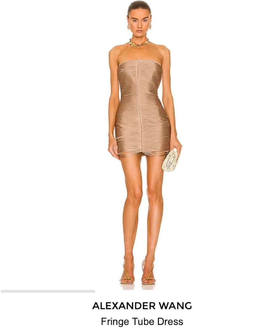 Alexander Wang Fringe Tube Dress - Image 1