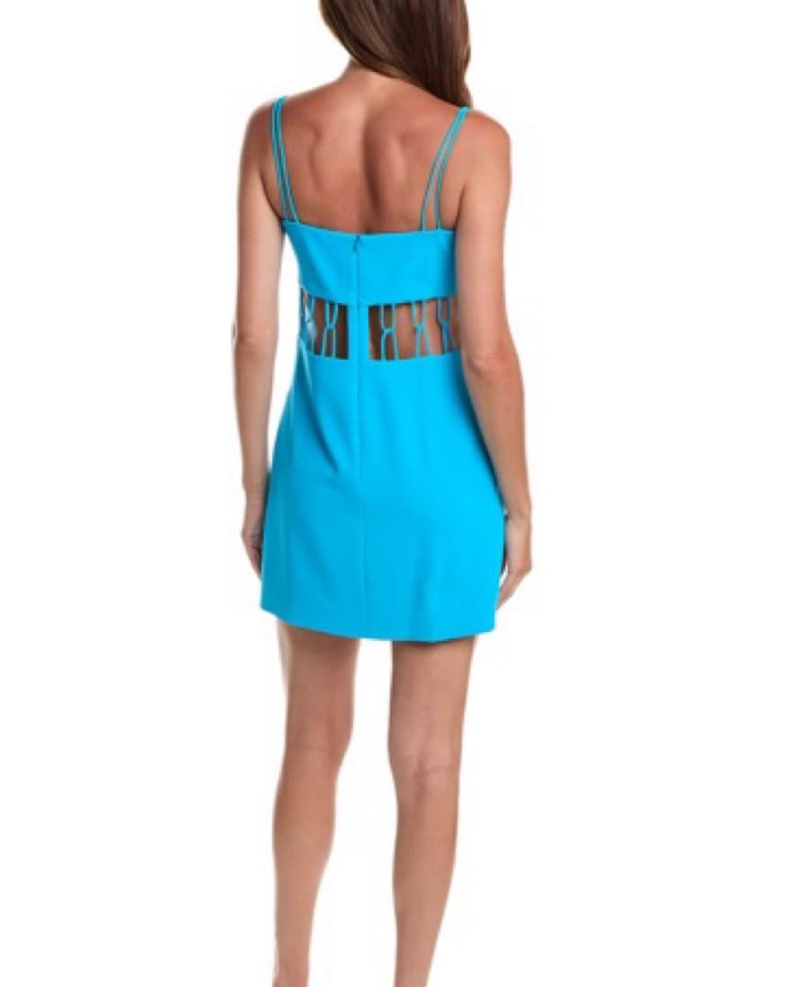 Alexis Mini Dress - Image 2