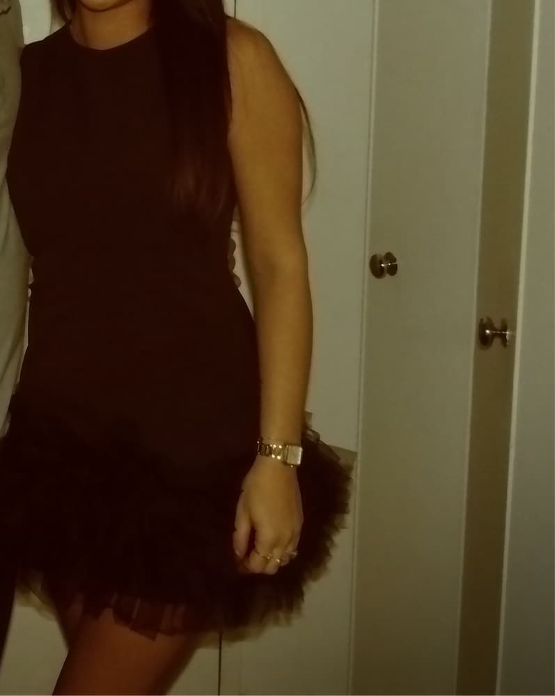 Zara Brown Tulle Dress - Image 5