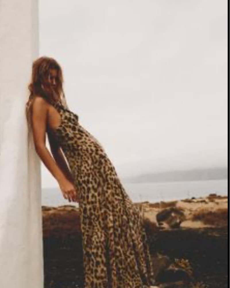 Zara Cheetah Maxi Dress - Image 2