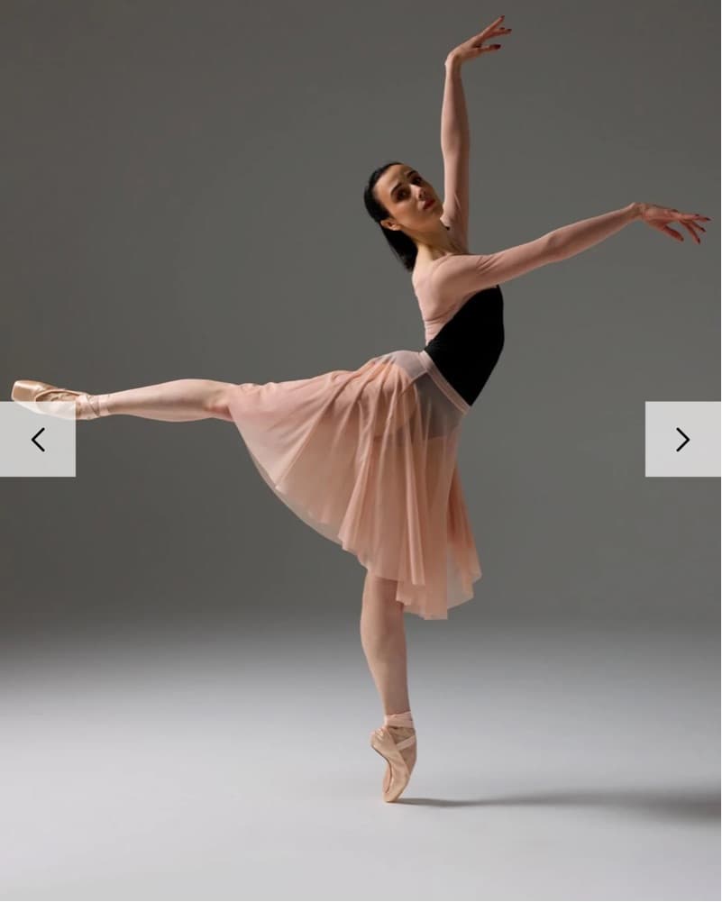 GABRIELLA LEOTARD - Image 4