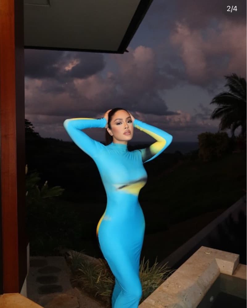 Rayne Dress By Woods/ Jordyn Woods - Image 4