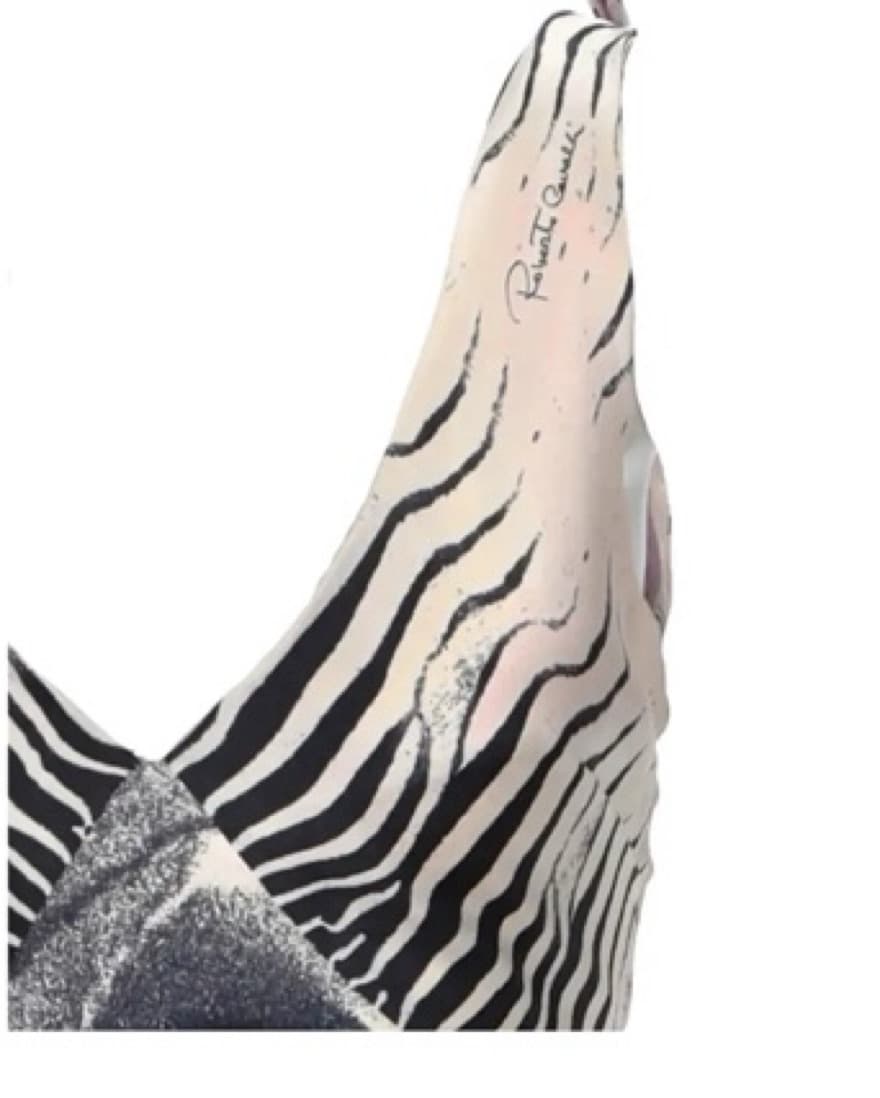 Roberto Cavalli Vintage Silk Dress - Image 2