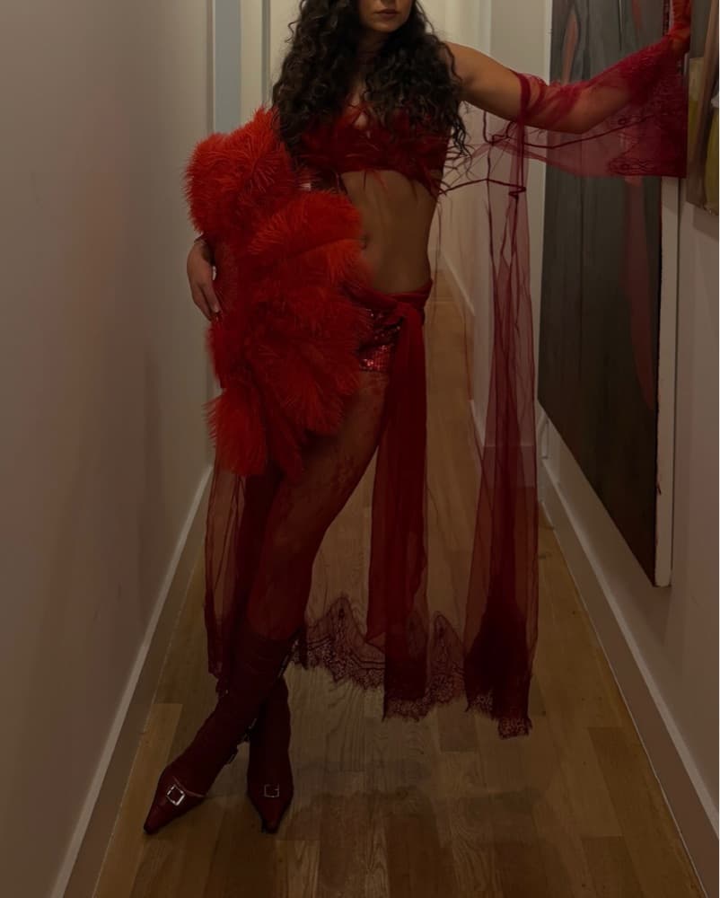 Red Burlesque Feathers Costume - Image 3