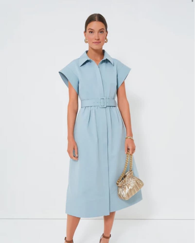 Tuckernuck Dress!  - Image 2