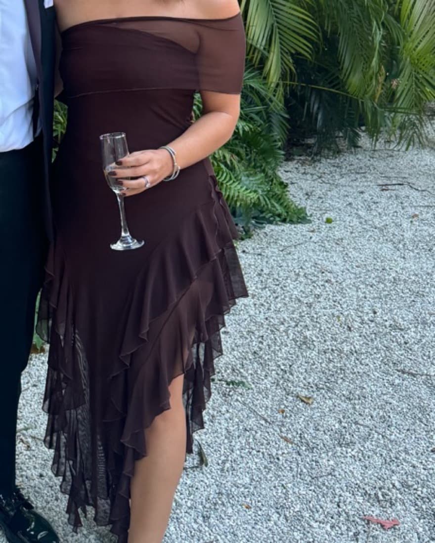 Brown Revolve Ruffle Mesh Maxi Dress  - Image 2