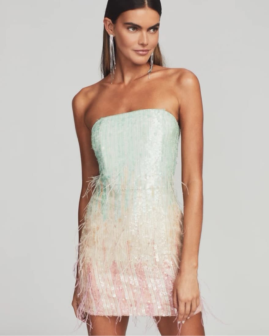 Anastasia Sequin Feather Dress - Image 4