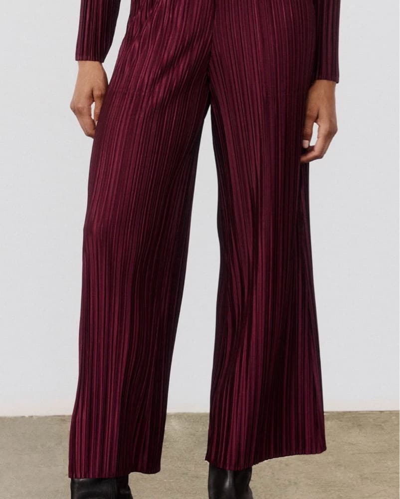 Ruti Burgundy Plisse Matching Set - Image 3