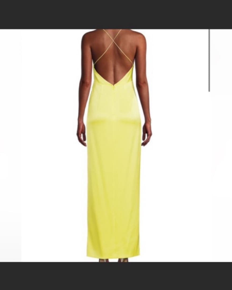 Alice and Olivia Dakota Gown - Image 3