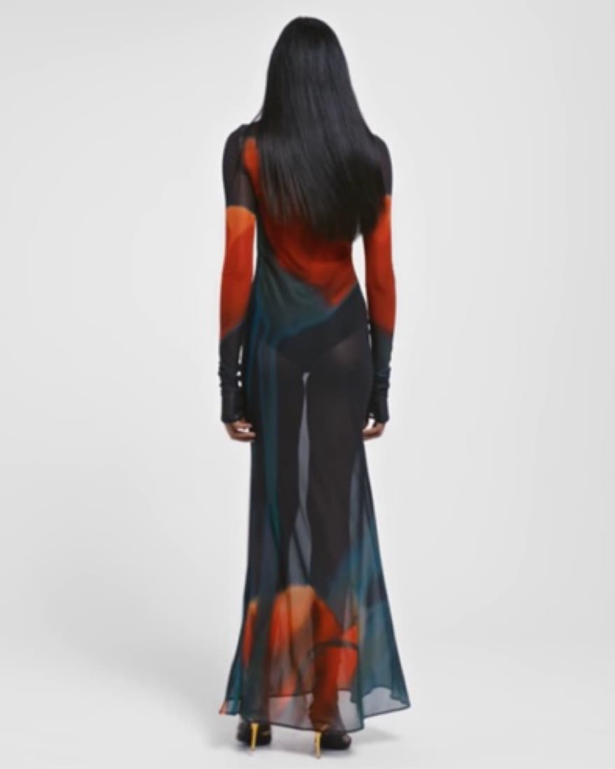 Rat And Boa Long Sheer Dress - Image 2