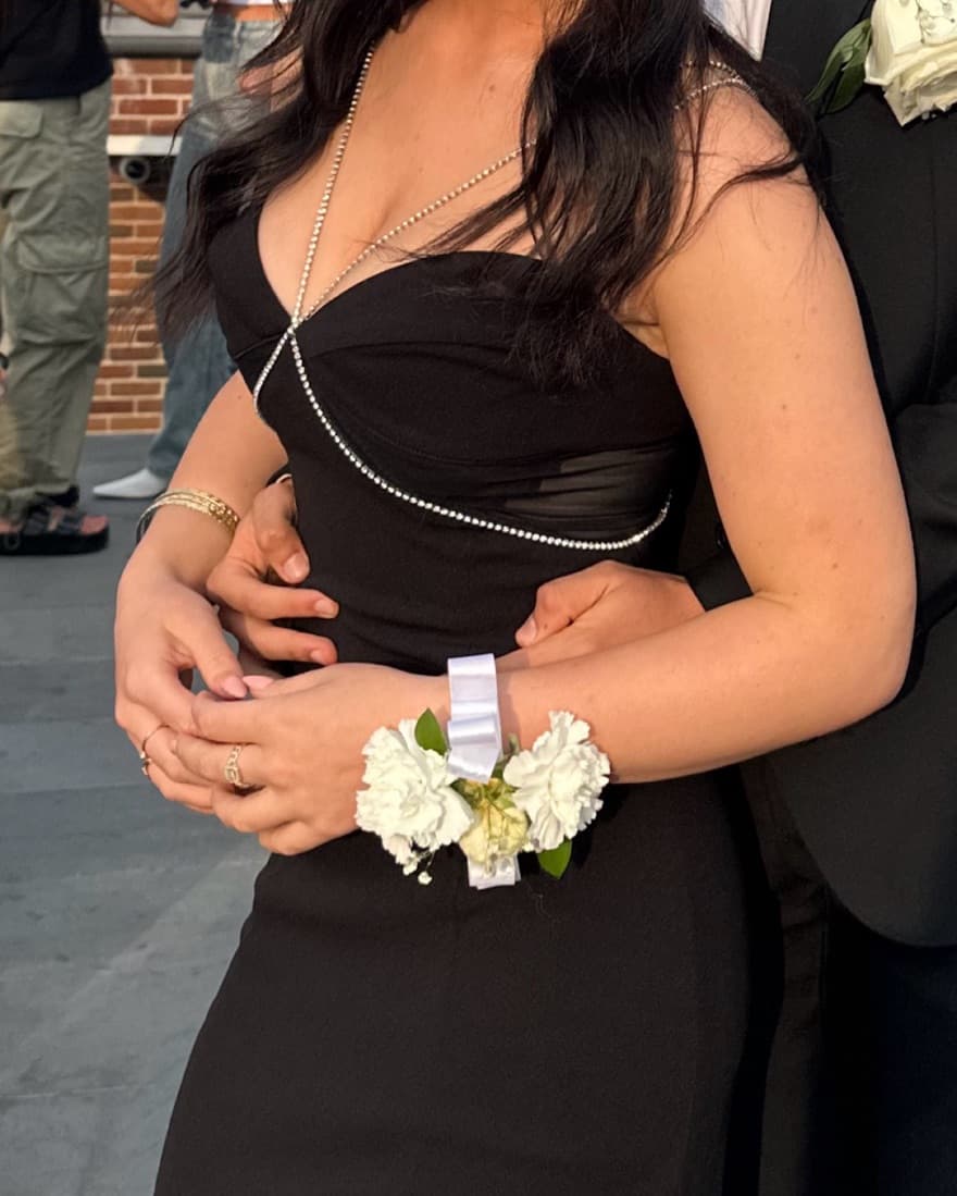 HEIRESS BEVERLY HILLS diamond gown - Image 4