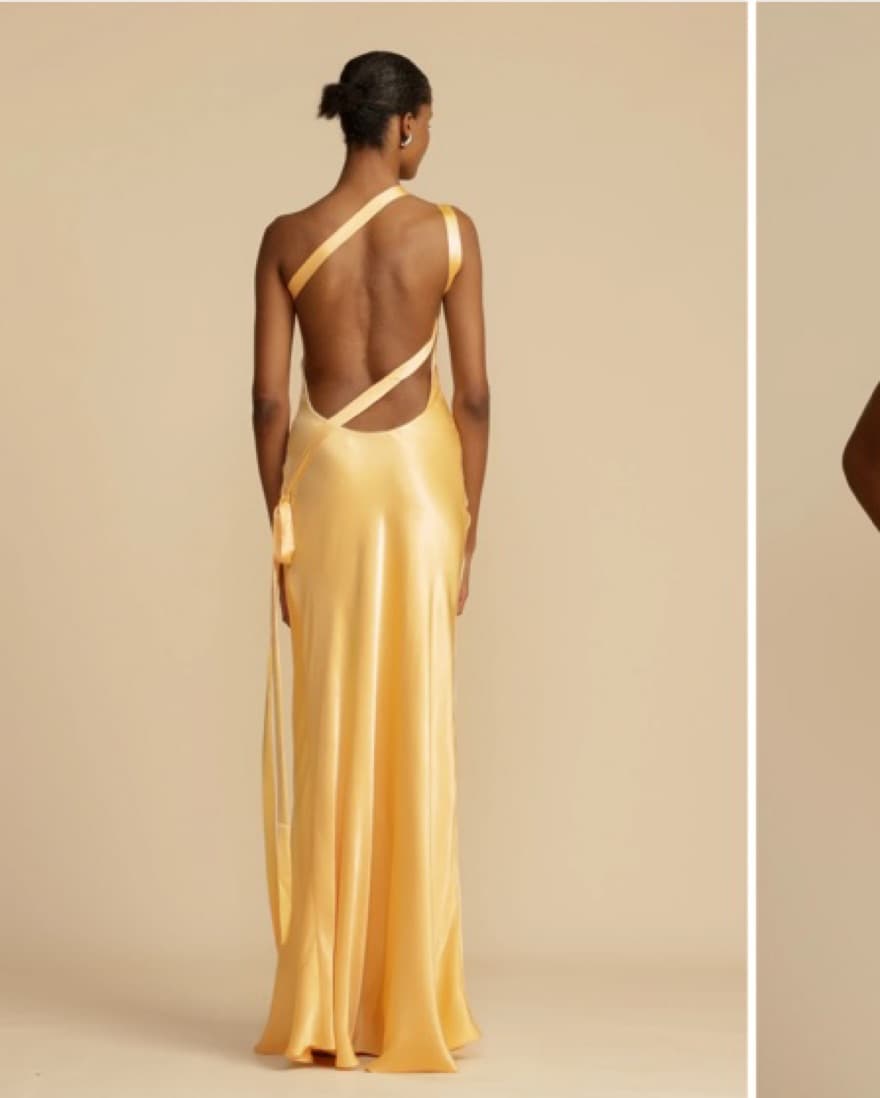 Arcina Ori Monique Dress  - Image 2