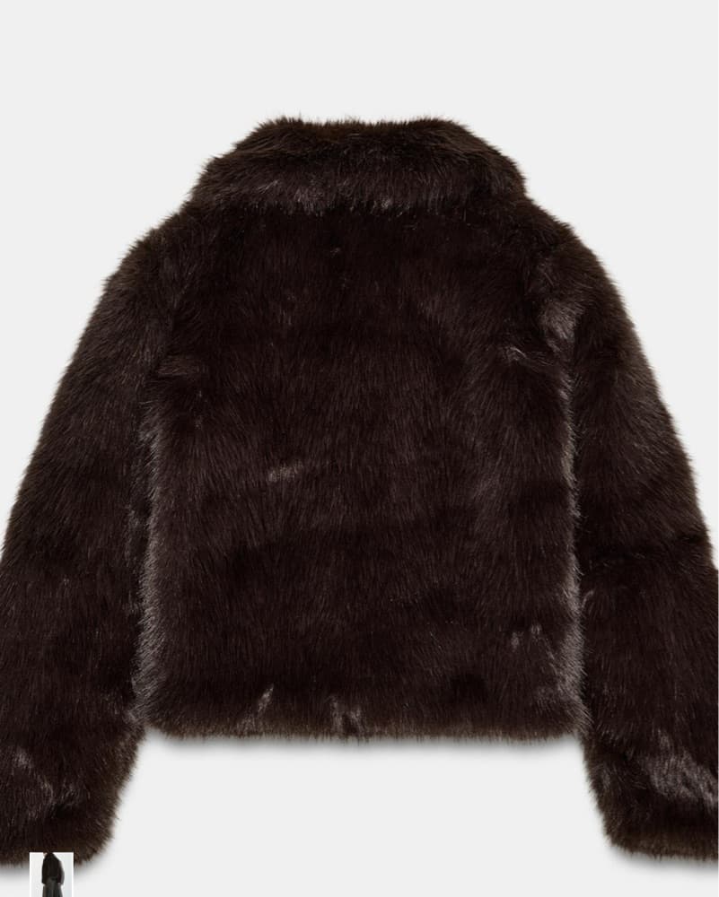 Zara Fur Coat - Image 2